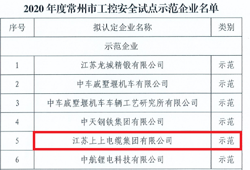 壹定发电缆获评常州市首批“工控宁静示范企业”称呼