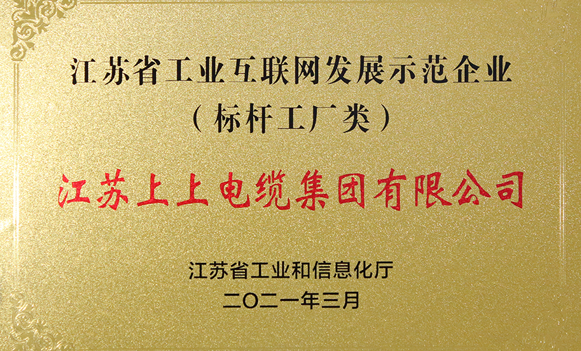 壹定发电缆获评“江苏省工业互联网生长示范企业”